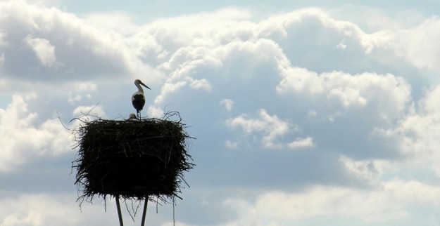 Wann die Kinder kommen